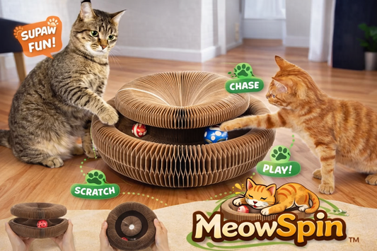 MeowSpin Interactive Cat Toy