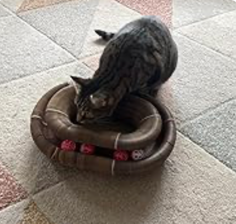 Finally, a toy that lasts