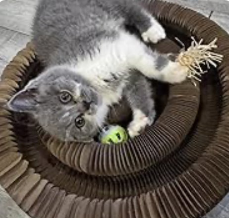 Helps with my cat's anxiety