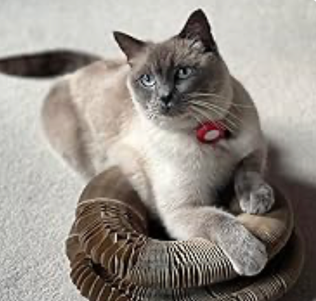 Keeps my cat entertained for hours